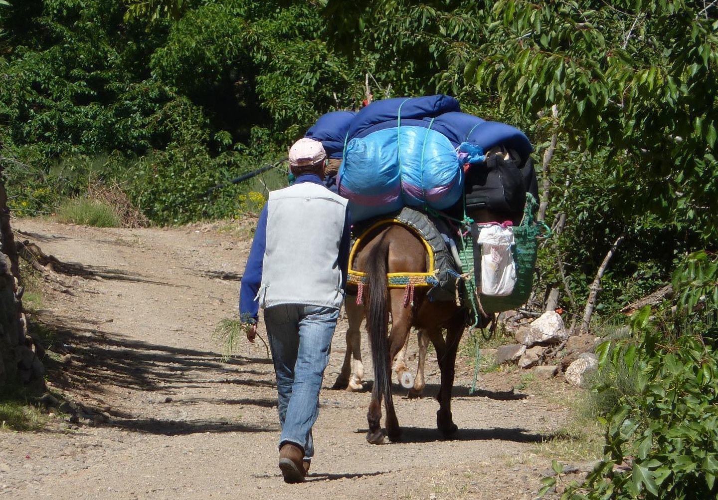 excursion villages berberes