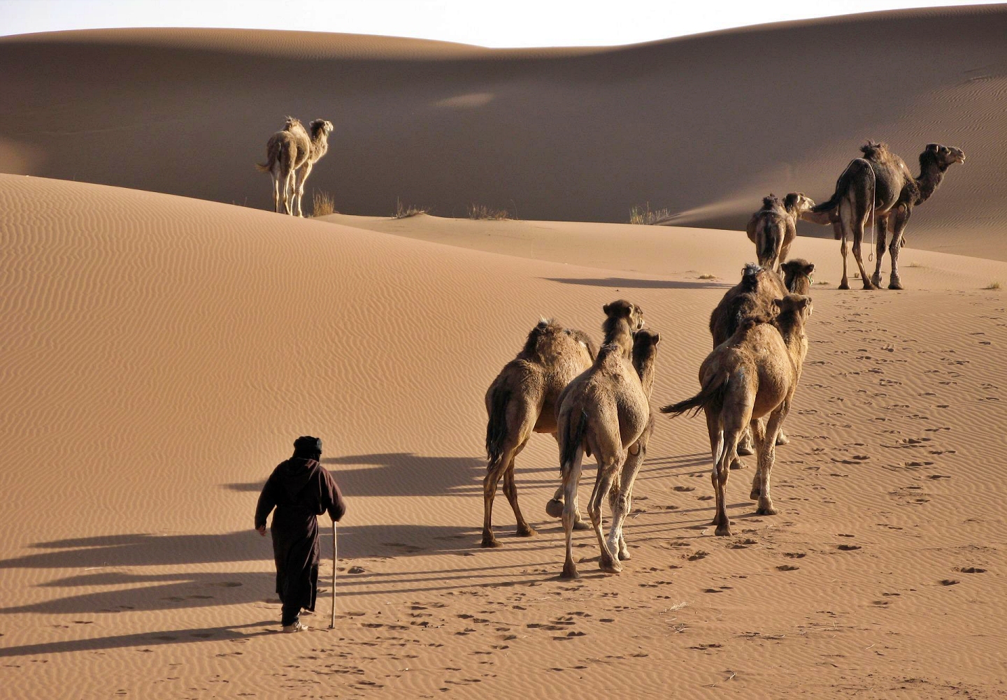 trekking desert maroc