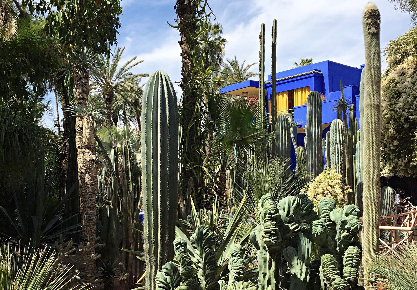 visiter jardins majorelles marrakech